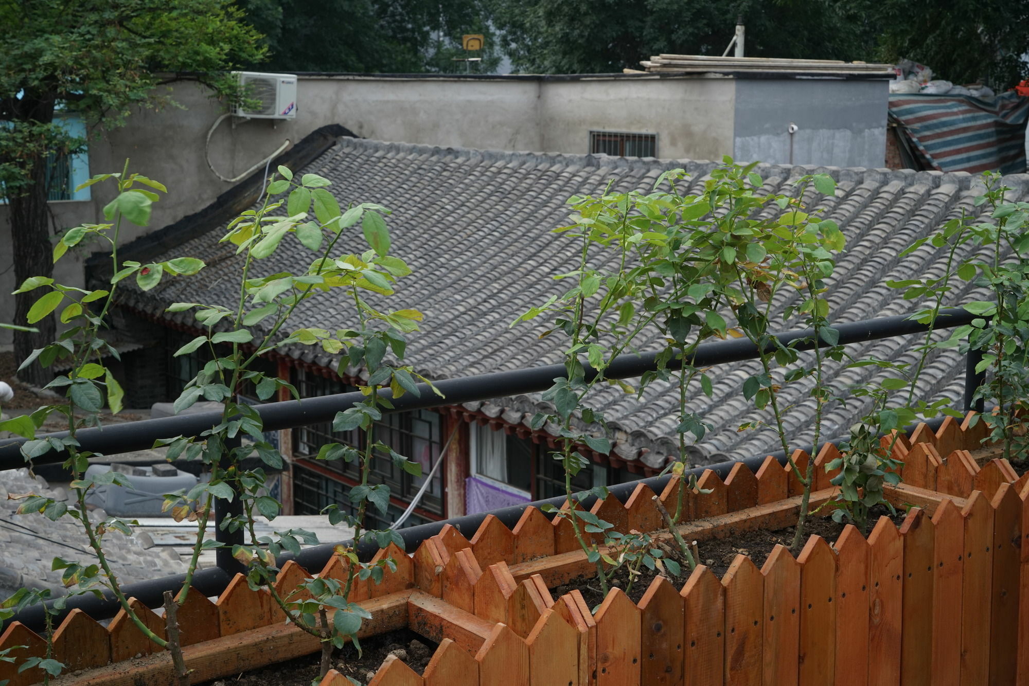 Garden Inn Peking Exterior foto